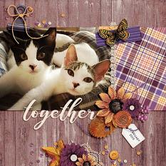 Layout created using Give Thanks Collection