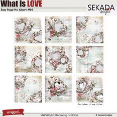 Easy Page Pro Album: What Is Love Mini