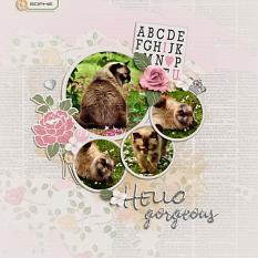 "Hello Gorgeous" digital scrapbook layout by Darryl Beers