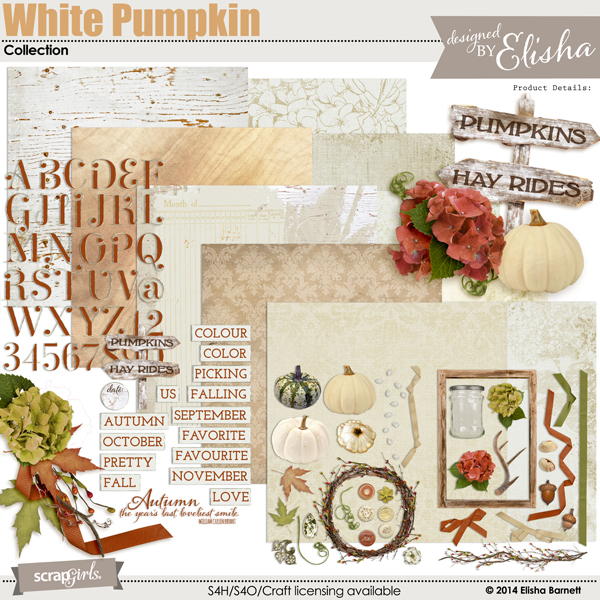 White Pumpkin Collection