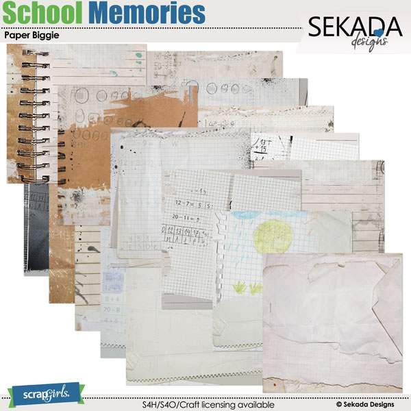 School Memories Paper Biggie