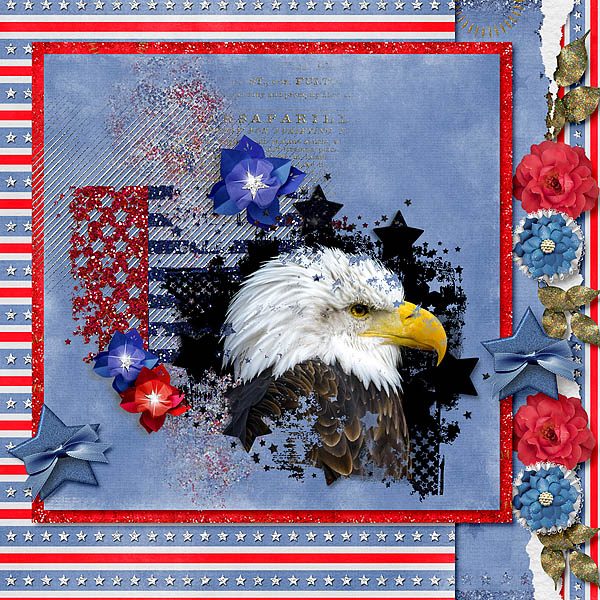 American Beauty Layout by Kythe