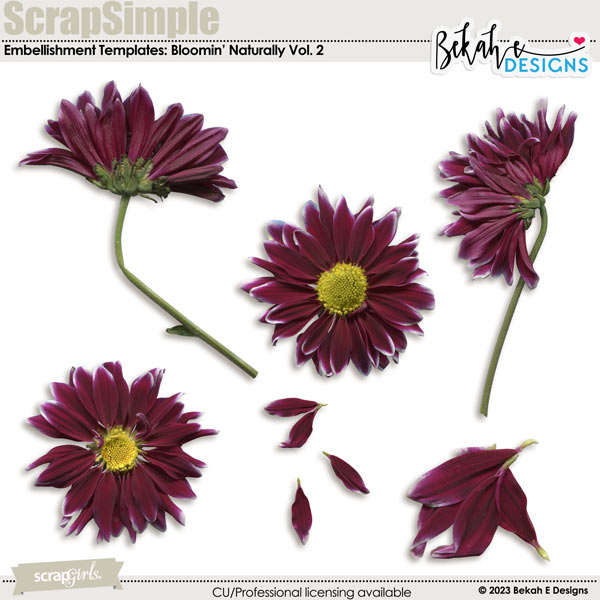 ScrapSimple Embellishment Templates: Bloomin' Naturally Vol. 2 by Bekah E Designs