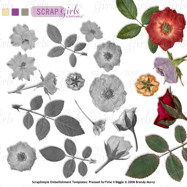 Also Available: ScrapSimple Embellishment Templates: Pressed for Time II Biggie (Sold Separately)